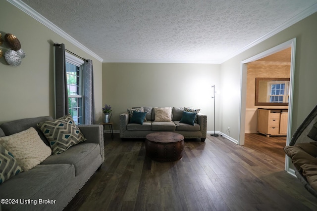 living room with a textured ceiling, crown molding, and dark wood-type flooring