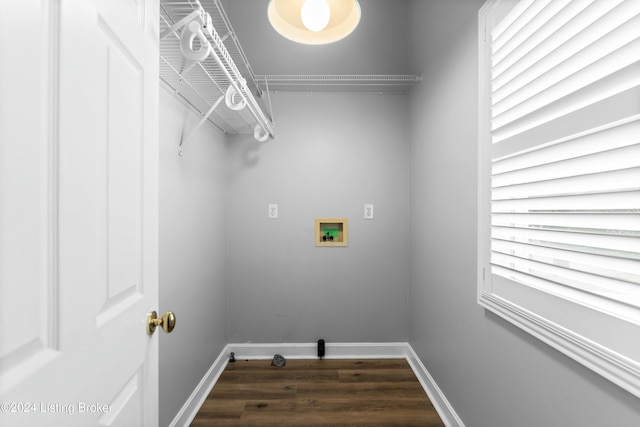 laundry area featuring hookup for a washing machine and dark wood-type flooring