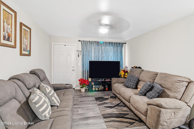 living room featuring wood-type flooring