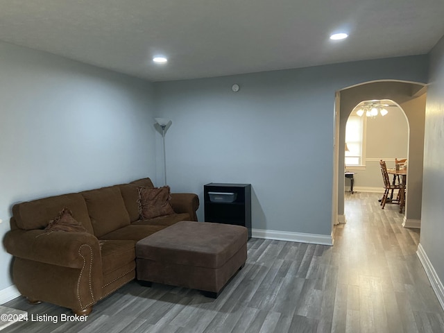 living room featuring wood-type flooring