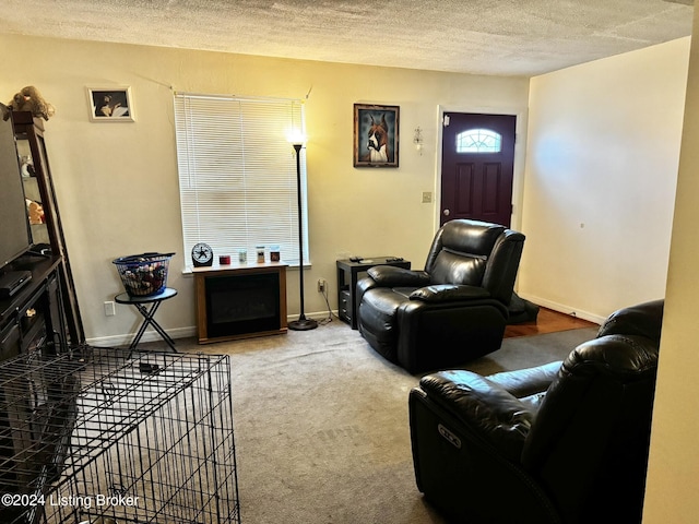 living room with carpet, a fireplace, and a textured ceiling