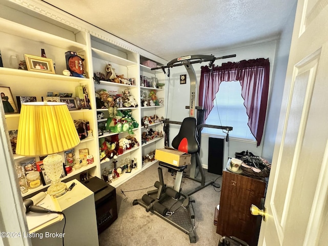 office space with carpet flooring and a textured ceiling