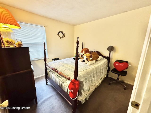 bedroom with dark carpet