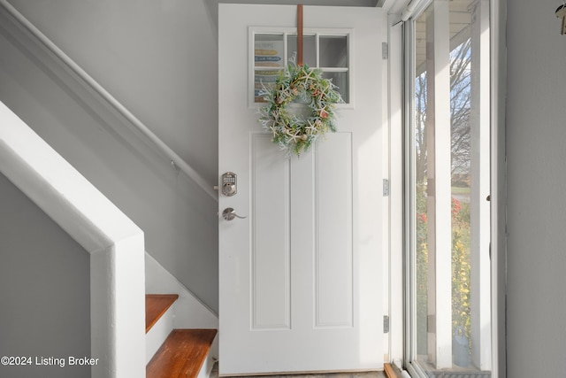 entryway featuring wood-type flooring