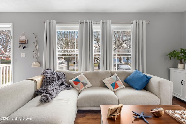 living room featuring dark hardwood / wood-style flooring and a wealth of natural light