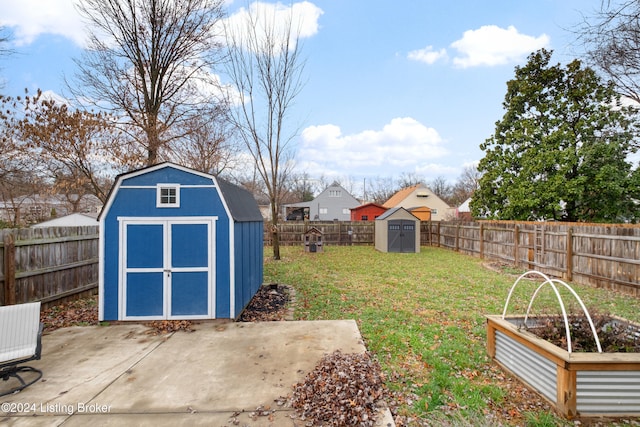 view of yard with a patio and a storage unit