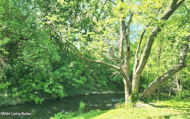 view of local wilderness with a water view