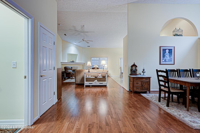 interior space featuring lofted ceiling, a textured ceiling, and dark wood-type flooring