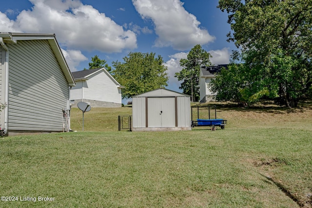 view of yard with a shed