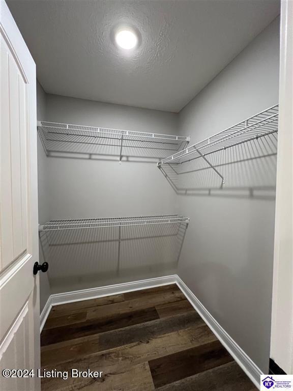 walk in closet with dark hardwood / wood-style flooring