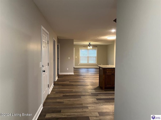 corridor featuring dark wood-type flooring