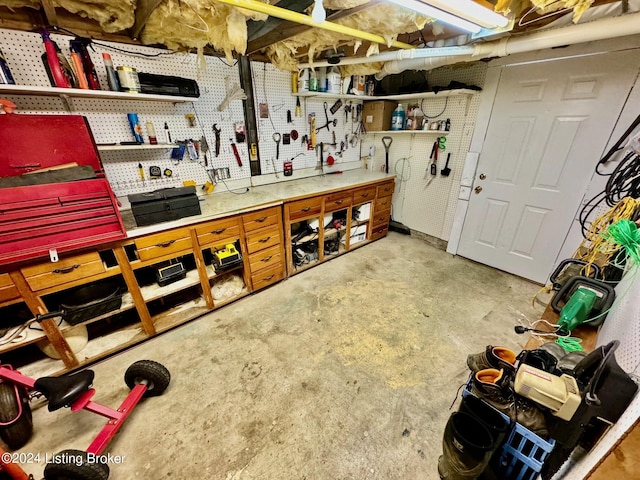 basement featuring a workshop area