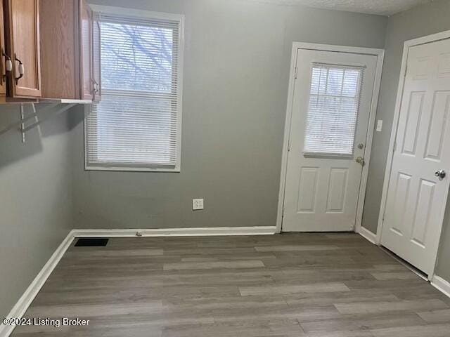 doorway featuring a wealth of natural light and light hardwood / wood-style floors