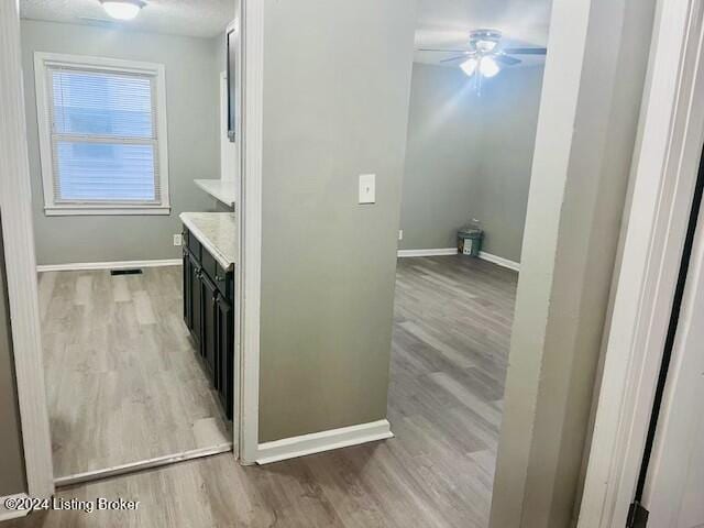 kitchen featuring wood-type flooring and ceiling fan