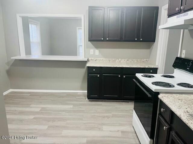 kitchen featuring light stone counters, light hardwood / wood-style flooring, and white electric range