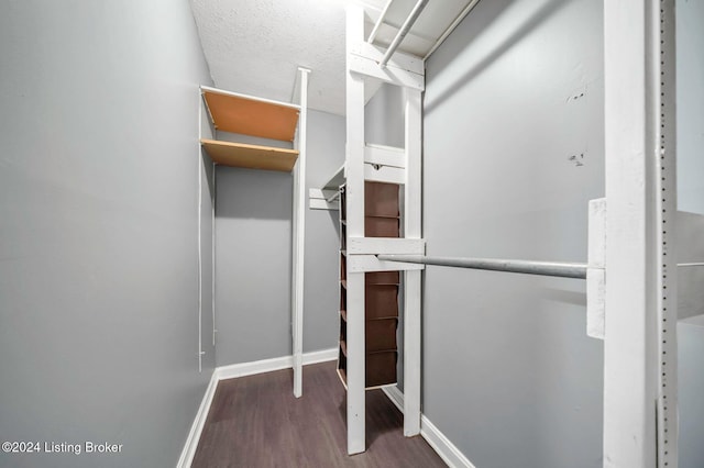 spacious closet with dark wood-type flooring