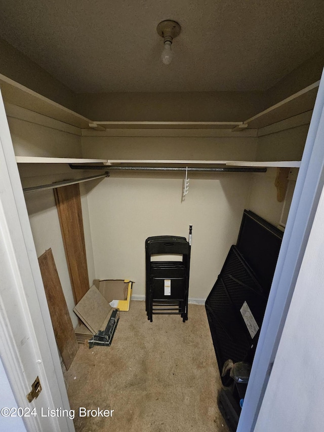 walk in closet featuring carpet