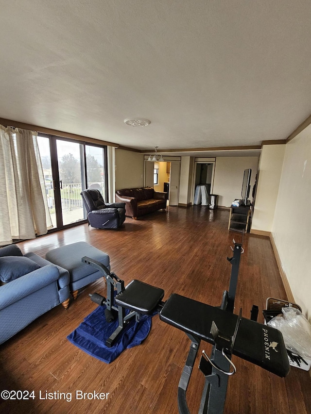 workout area with wood-type flooring, a textured ceiling, and ornamental molding