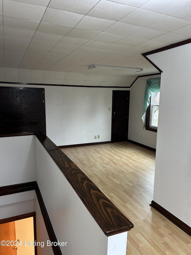 spare room with a paneled ceiling and light wood-type flooring