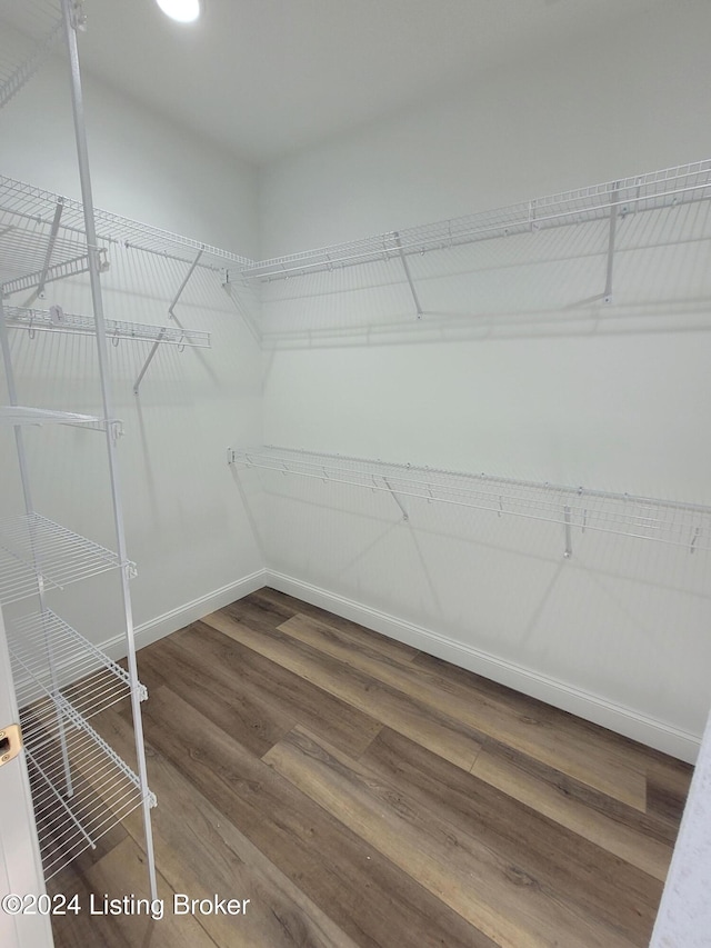 walk in closet featuring hardwood / wood-style floors