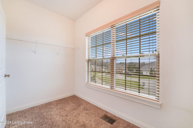 walk in closet with carpet floors