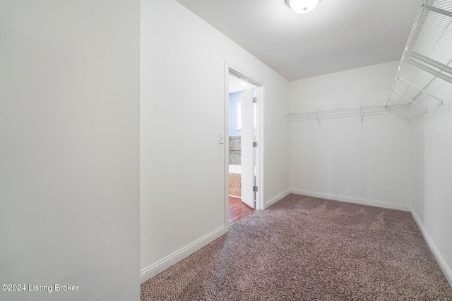 walk in closet with carpet flooring