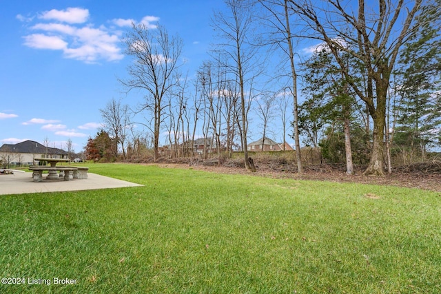 view of yard with a patio