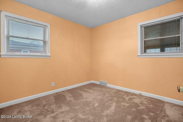 unfurnished room with a textured ceiling and carpet floors