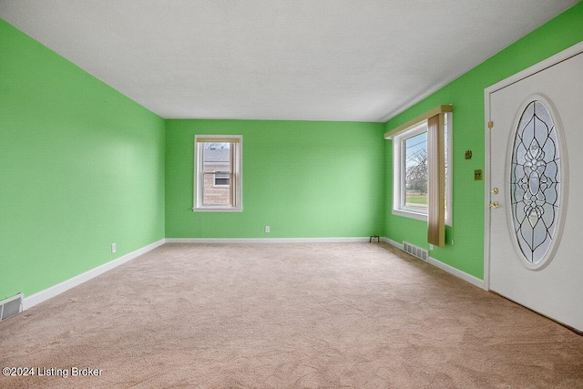 carpeted entrance foyer featuring plenty of natural light and a textured ceiling