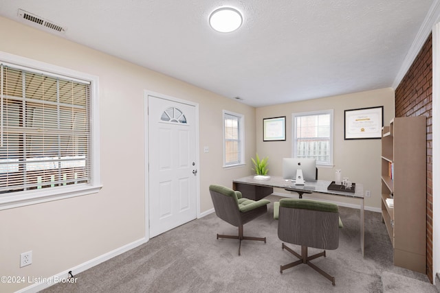 carpeted office space with a textured ceiling