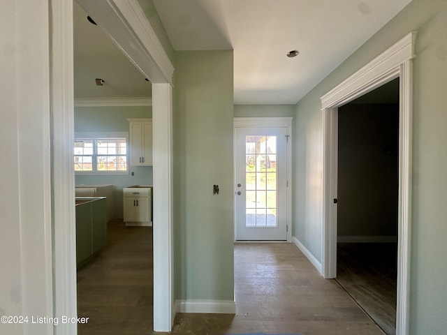 interior space featuring a healthy amount of sunlight, light hardwood / wood-style floors, and ornamental molding