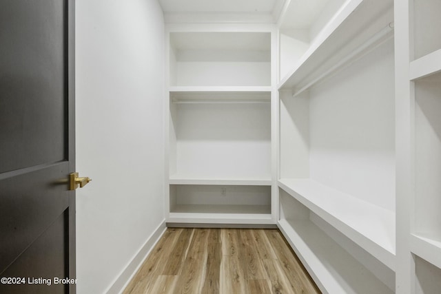 spacious closet with hardwood / wood-style floors