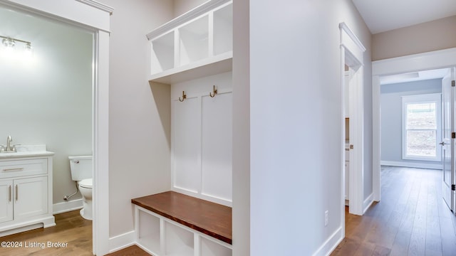 mudroom featuring sink and wood-type flooring