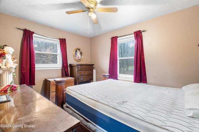 bedroom with multiple windows, ceiling fan, and a textured ceiling