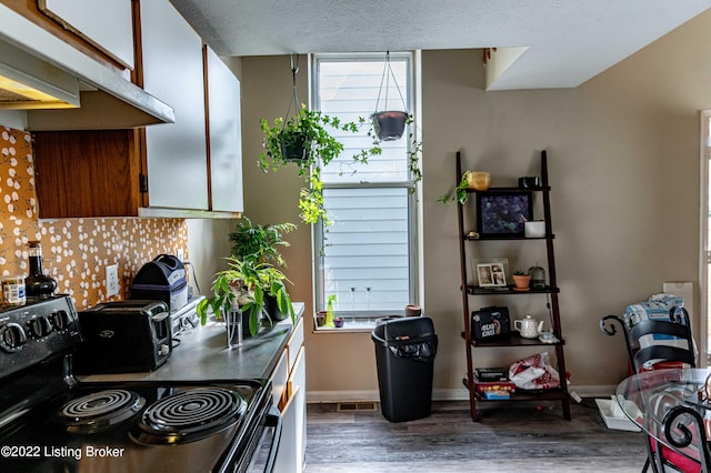 kitchen featuring a healthy amount of sunlight, black range with electric stovetop, backsplash, and dark hardwood / wood-style flooring