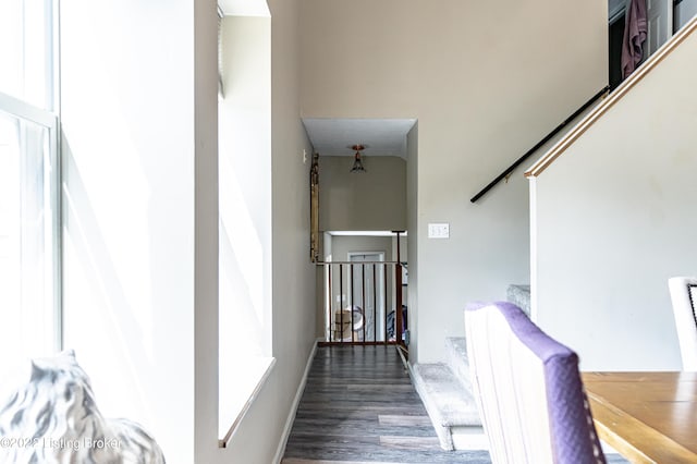 stairs with hardwood / wood-style flooring