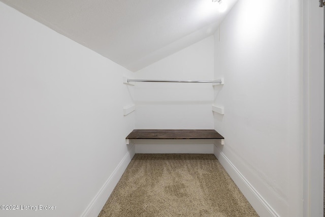 walk in closet with carpet and vaulted ceiling