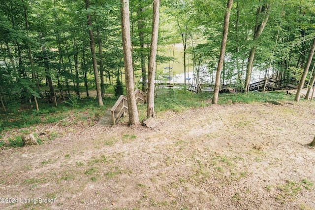 315 Timberlake Ln, Mcdaniels, KY 40152 - view of yard