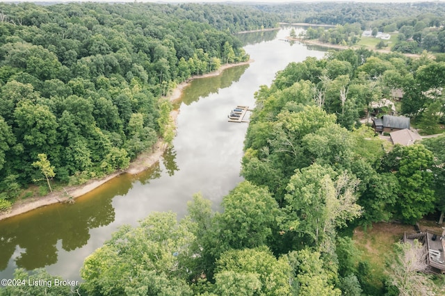 315 Timberlake Ln, Mcdaniels, KY 40152 - bird's eye view of a nearby body of water and a forest