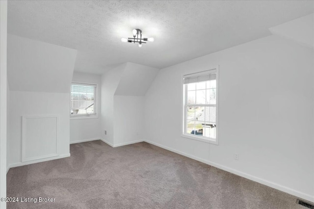 additional living space featuring a textured ceiling, carpet floors, and lofted ceiling