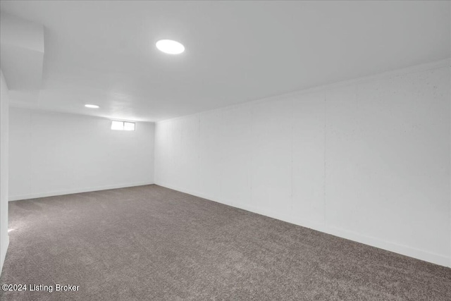 basement featuring carpet floors