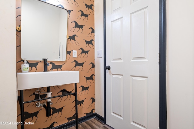 bathroom with sink and wood-type flooring