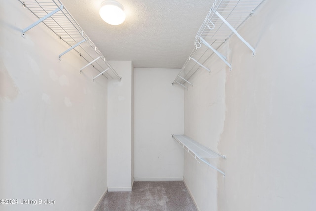 walk in closet featuring light colored carpet