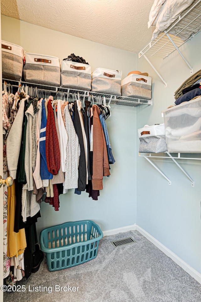 walk in closet with carpet flooring