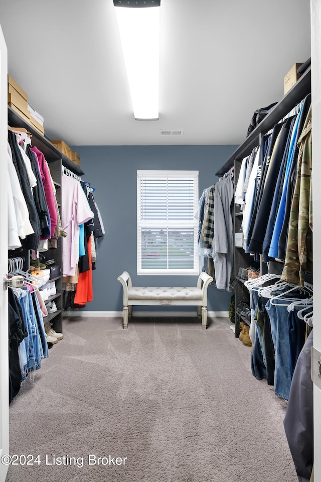 spacious closet featuring carpet flooring