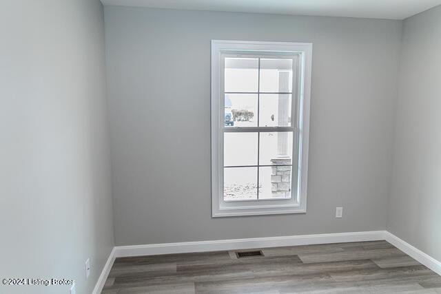 empty room with plenty of natural light and wood-type flooring