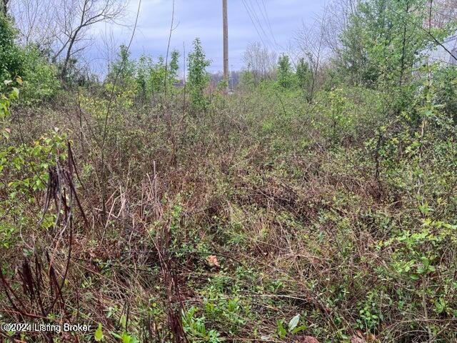 Listing photo 2 for 0 Middle Dr, Caneyville KY 42721