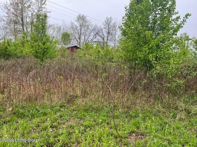 Listing photo 3 for 0 Middle Dr, Caneyville KY 42721