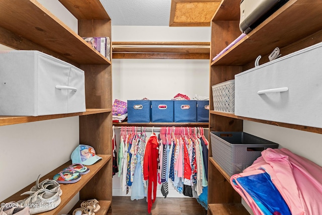 walk in closet with hardwood / wood-style floors