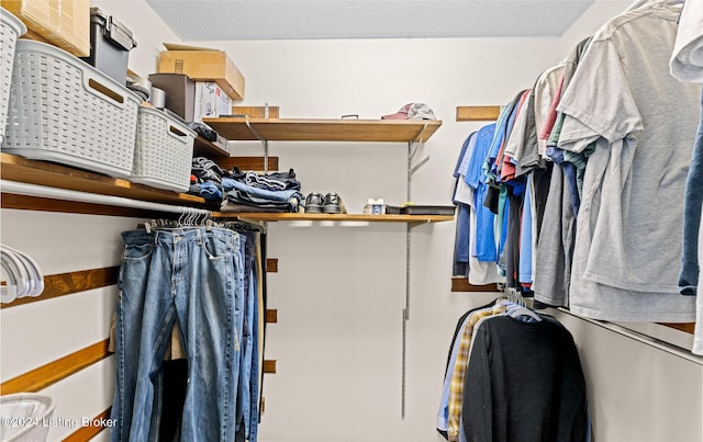 view of walk in closet